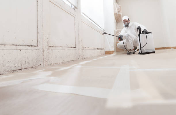 24/7 Emergency Mold Removal experts in Southampton, PA
